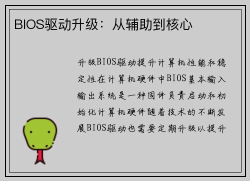 BIOS驱动升级：从辅助到核心